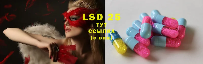 ЛСД экстази ecstasy  купить наркотик  Кудрово 